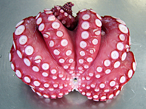 蒸したこ